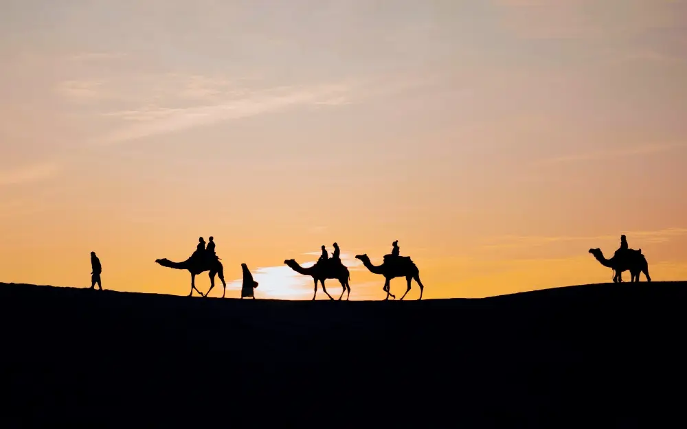 Sam Sand Dunes Jaisalmer