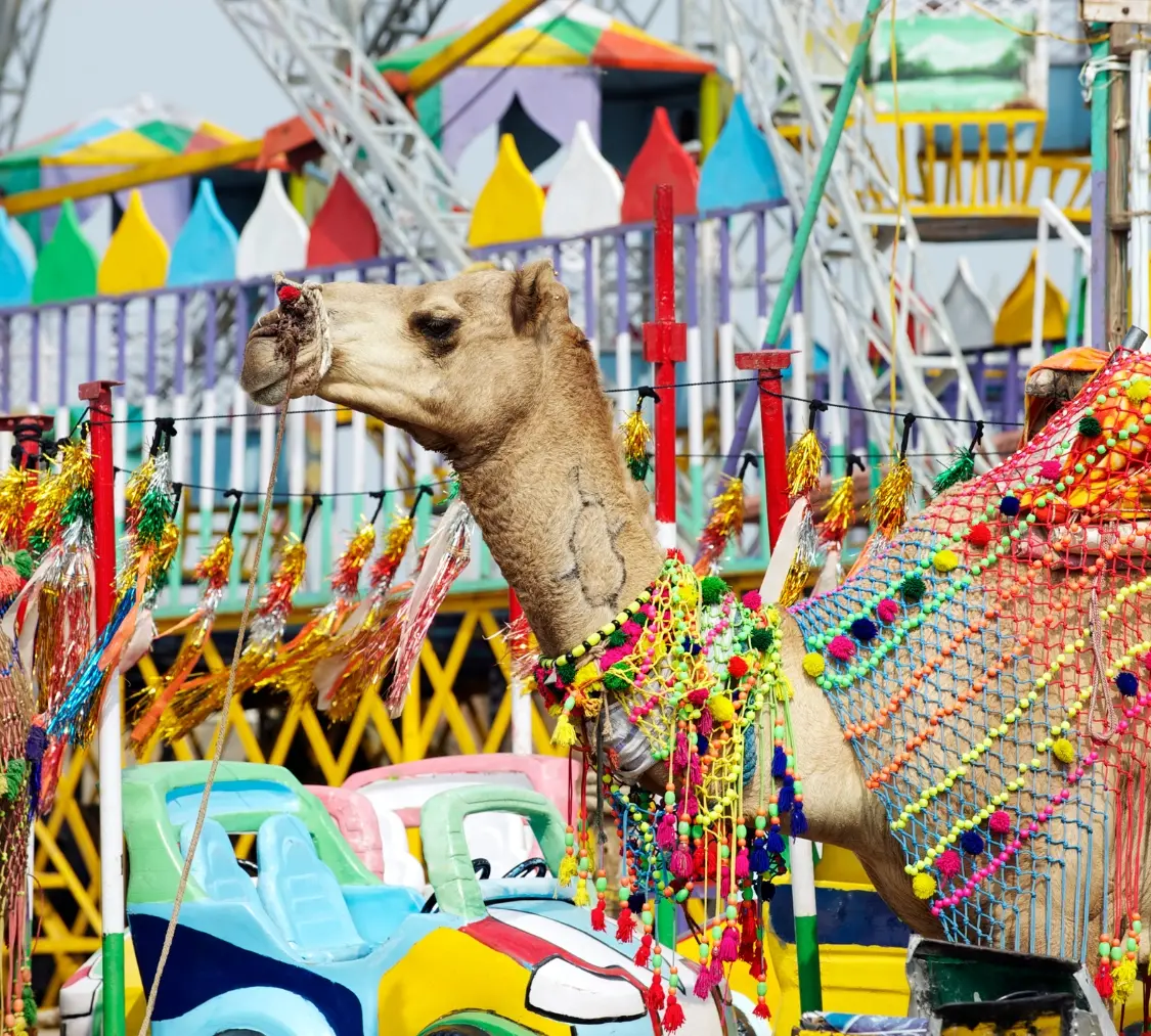 Jaipur Ajmer Pushkar Tour