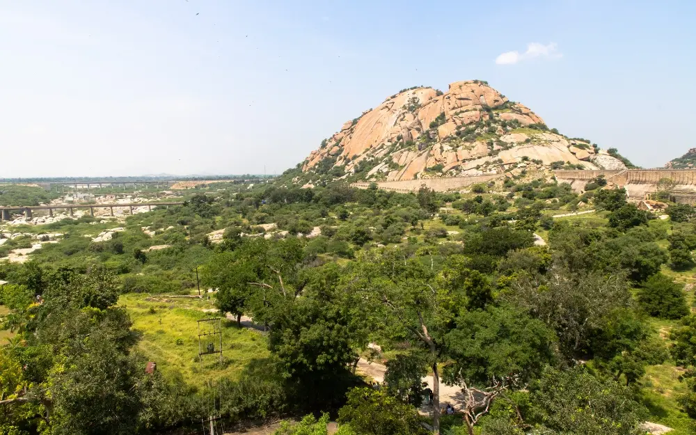 Leopard Safari Jawai