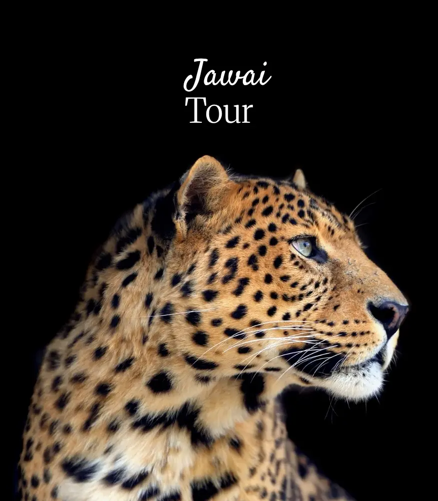 Jawai Tour
