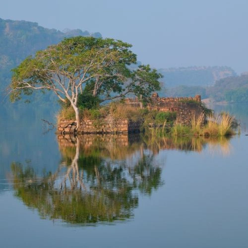 Padam Talao Lake Ranthambore