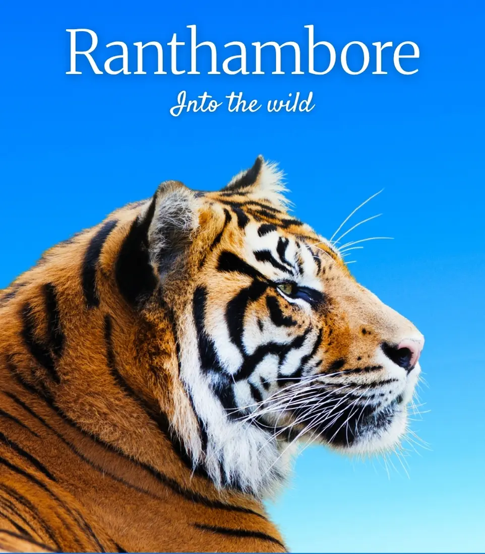 Ranthambore Safari