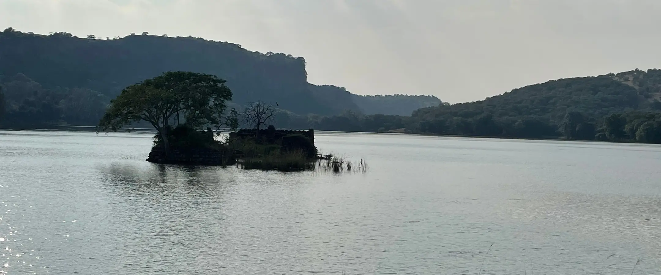 Surwal Lake Ranthambore
