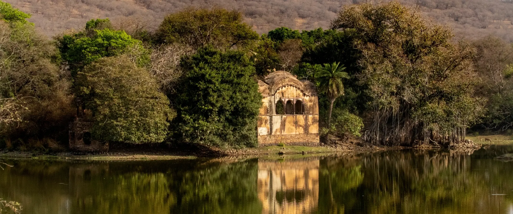 Village Safari Ranthambore